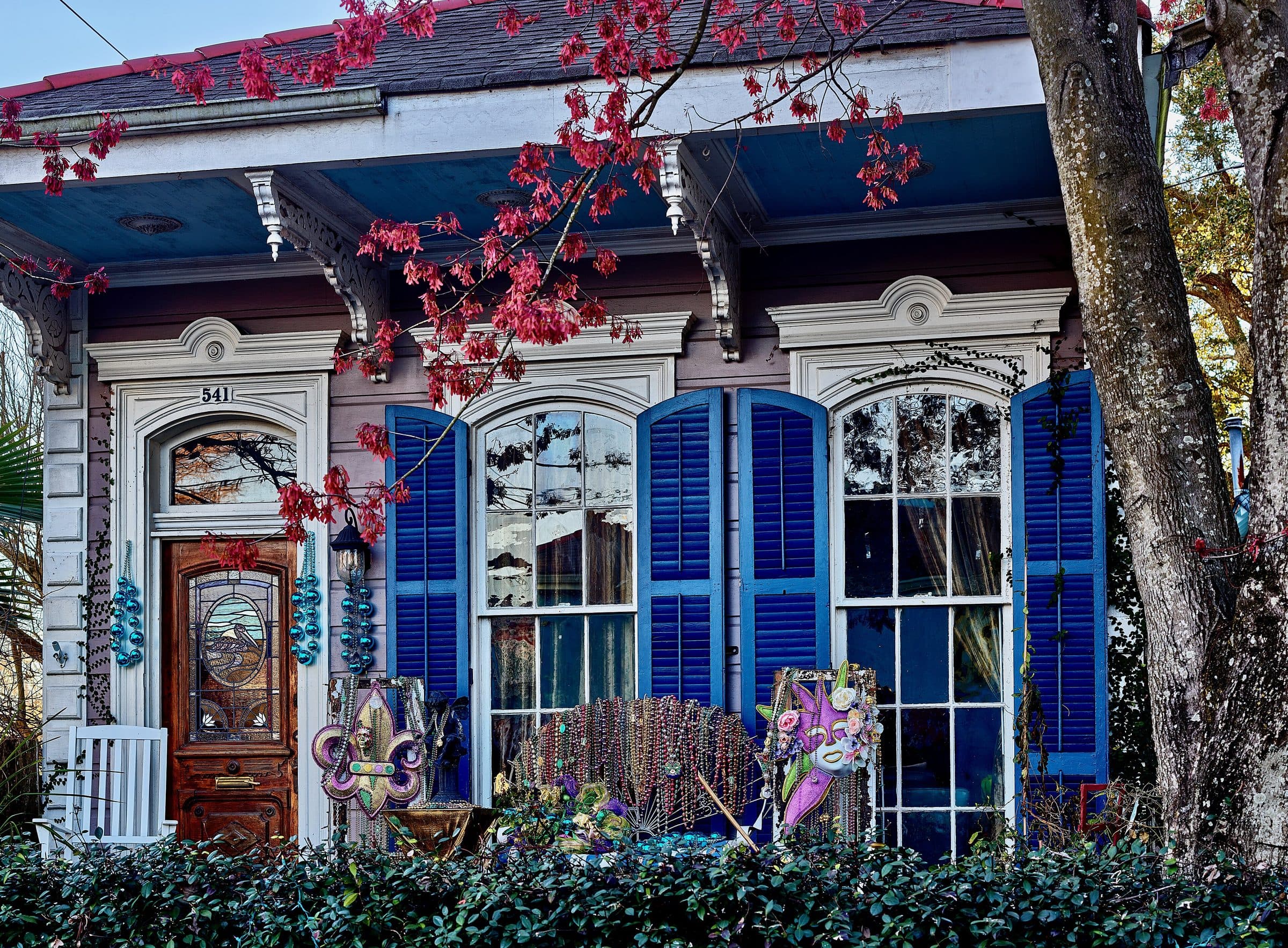 Creole cottage with blue shutters and a flowering tree, New Orleans